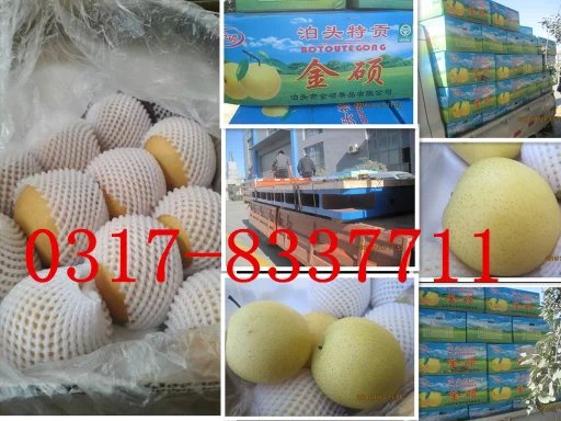 山東威海客戶訂做的鑄鐵平臺和100箱泊頭鴨梨裝車發(fā)貨